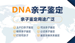 上海亲子鉴定大概多少费用，上海亲子鉴定办理流程