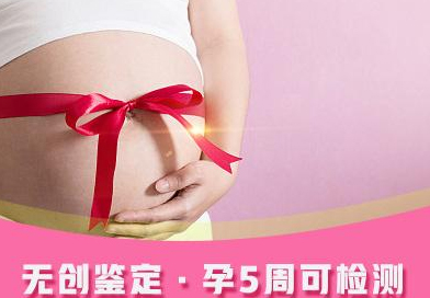 上海怀孕几个月如何确定孩子生父是谁,上海产前亲子鉴定收费标准是多少