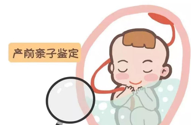 上海孕期亲子鉴定多少钱,