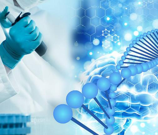 上海怀孕如何做血缘检测,上海怀孕亲子鉴定办理条件