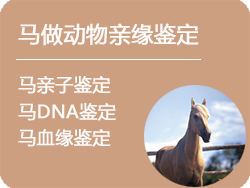 上海马做动物亲缘鉴定