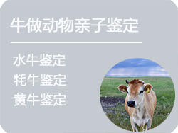 上海牛做动物亲子鉴定