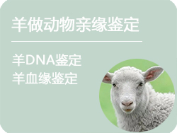 上海羊做动物亲缘鉴定