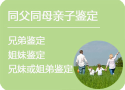 上海同父同母亲缘鉴定