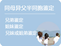 上海同母异父半同胞鉴定