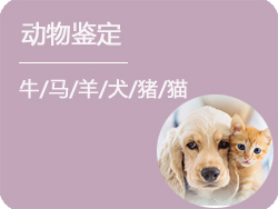 上海动物鉴定